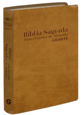 Bíblia Sagrada Rc Lgig Semi Luxo Caramelo   
