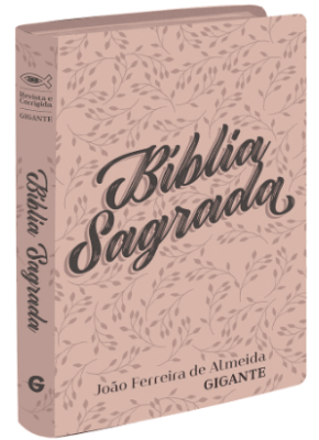 Bíblia Sagrada Rc Lgig Semi Luxo Floral   