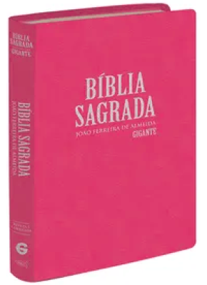 Bíblia Sagrada Rc Lgig Semi Luxo Rosa   