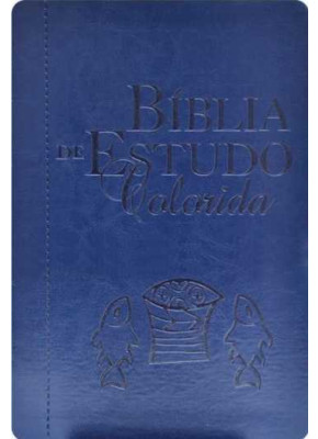 Bíblia De Estudo Colorida Azul Nvi    