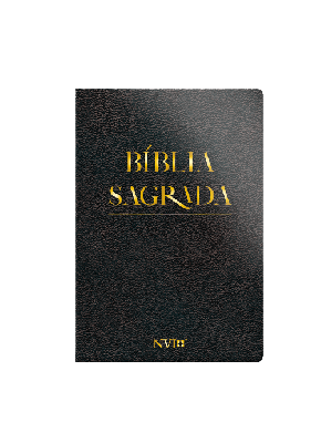 Bíblia NVI Slim Luxo | Preta