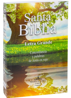 Santa Biblia Letra Grande Brochura