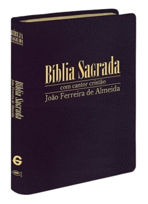 Bíblia Sagrada Rc Vinho Cantor Cristão