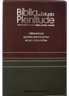 Bíblia De Estudo Plenitude RC Bordô E Chumbo