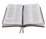 Bíblia Bilíngue NTLH