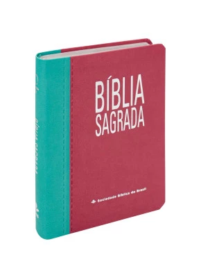Bíblia Sagrada RA Letra Gigante Médio Turquesa/Pink SBB