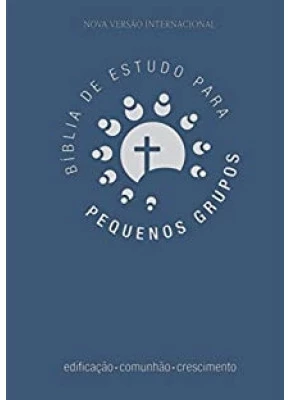 Bíblia De Estudo Para Pequenos Grupos NVI Azul    