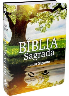 Bíblia Sagrada NAA Reflexo    