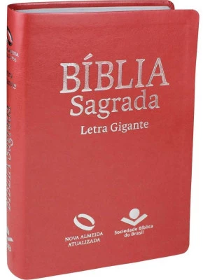Bíblia Sagrada NAA Pêssego Letra Gigante   
