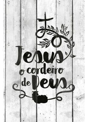 Bíblia Sagrada NVT Jesus O Cordeiro De Deus Capa Dura   