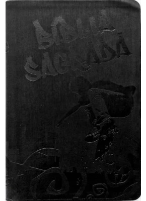 Bíblia Sagrada Nt Teen Skate Preta   