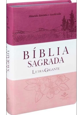 Bíblia Sagrada Ra Md Lgig Sint Pk/Br/Rs      