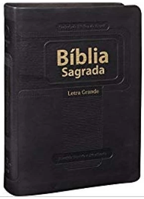 Bíblia Sagrada RA Preta Letra Grande   