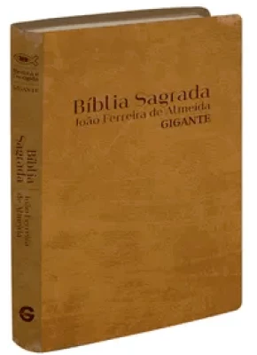 Bíblia Sagrada Rc Lgig Semi Luxo Caramelo   
