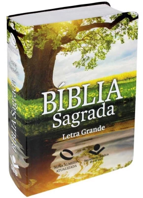 Bíblia Sagrada NAA Reflexo Letra Grande Com índice  