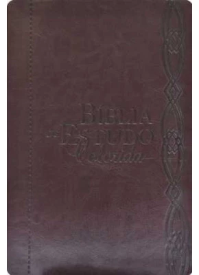 Bíblia De Estudo Colorida Vinho Nvi    