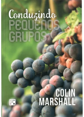 Conduzindo pequenos grupos - Editora Fiel