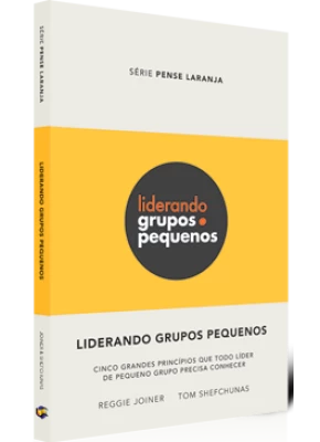 Liderando Grupos Pequenos