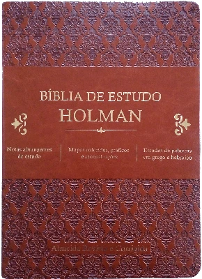 Bíblia De Estudo Holman Rc - Marrom
