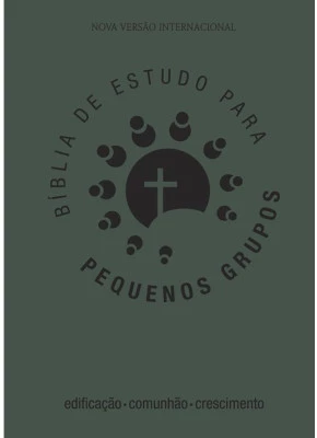 Bíblia De Estudo Para Pequenos Grupos NVI Verde    