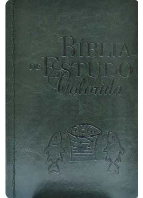Bíblia De Estudo Colorida Verde Nvi    