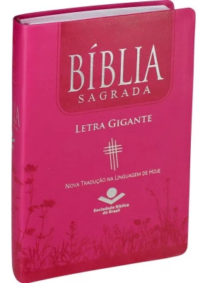 Bíblia NTLH Pink | Letra Gigante | Sem Índice