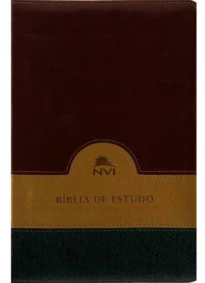 Bíblia De Estudo Nvi Verde, Bege E Vinho     