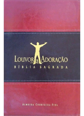 Bíblia Sagrada Louvor E Adoração Capa Bicolor Marrom