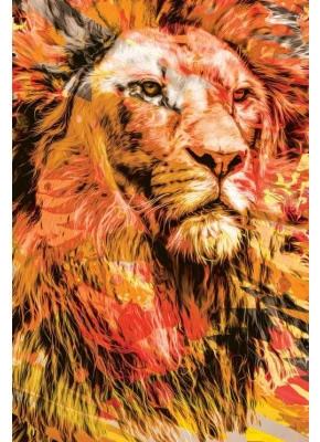 Bíblia NTLH YouVersion The Lion Fogo