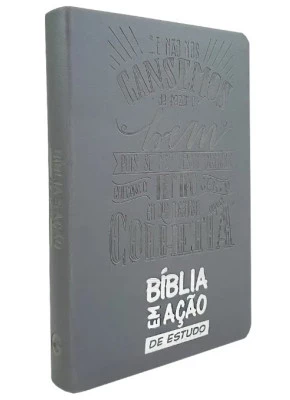 Bíblia Em Ação De Estudo Cinza