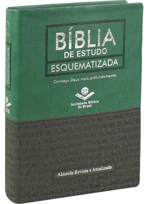 Bíblia De Estudo Esquematizada RA Verde Escuro e Cinza Escuro    
