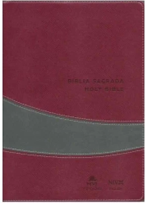 Bíblia Sagrada NVI Holy Bible Português Inglês Vinho E Cinza 