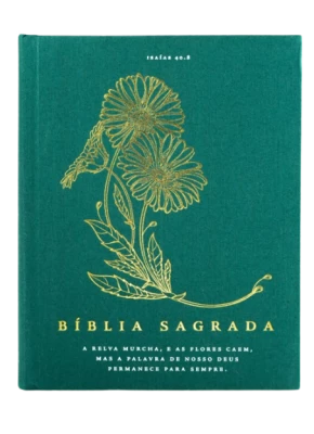 Bíblia Sagrada NVI Com Espaço para Anotações Capa Dura Verde