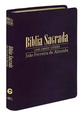 Bíblia Sagrada Rc Vinho Cantor Cristão