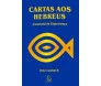 Comentario Esperanca Carta Aos Hebreus