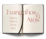 Bíblia Contexto NVT Evangelhos E Atos