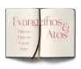 Bíblia Contexto NVT Evangelhos E Atos