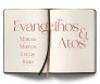 Bíblia Contexto NVT Evangelhos E Atos