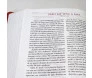 Bíblia Mulher Tu Estás Livre