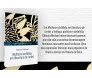 Mulheres da Bíblia em Literatura de Cordel