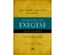 Fundamentos Para Exegese Do Novo Testamento