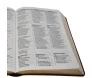 Biblia Trilingue NAA Portugues/Ingles/Espanhol Luxo Marrom