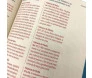 Cartas e Apocalipse | Bíblia Contexto | Leão
