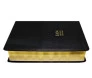 Biblia de Estudo NVI luxo preto