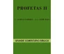 Grande Comentário Bíblico Profetas II