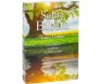 Santa Biblia Letra Grande Brochura