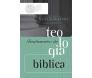 Fundamentos Da Teologia Bíblica