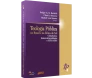 Teologia Pública Vol.4 - No Brasil E Na África Do Sul