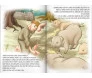 Clássicos Da Bíblia: Parábolas De Jesus